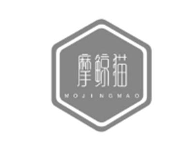 摩鲸猫