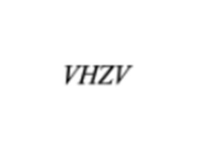 VHZV