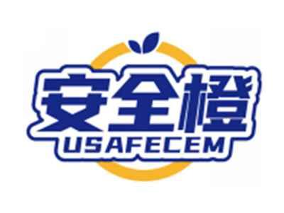 安全橙USAFECEM