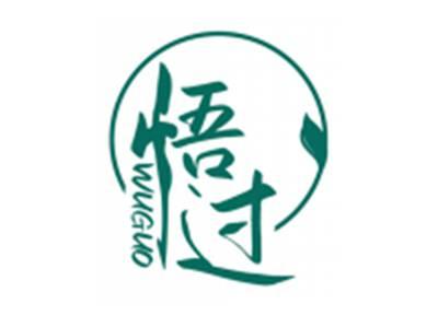 悟过WUGUO