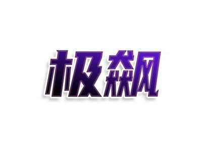 极飙