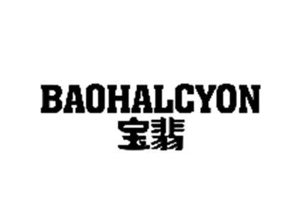 宝翡