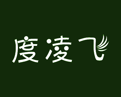 度凌飞