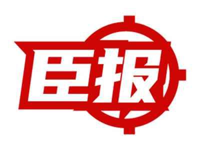 臣报