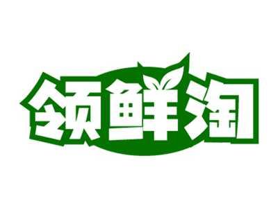 领鲜淘