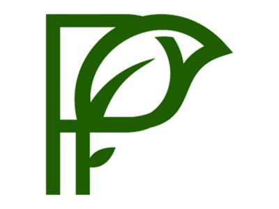 P叶子