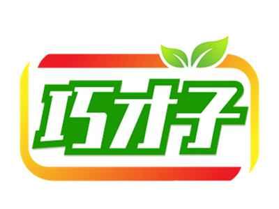 巧才子