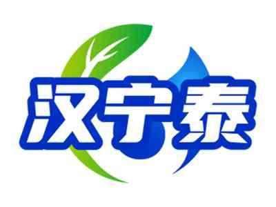汉宁泰