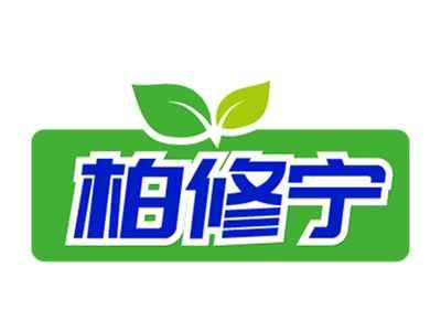 柏修宁