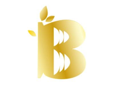 图形B