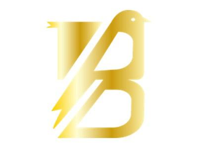 图形B