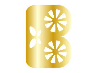 图形B