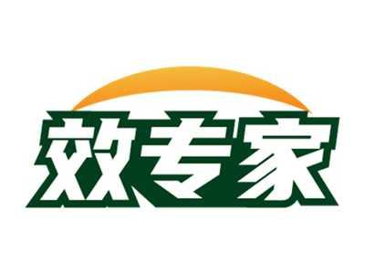 效专家