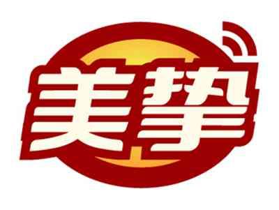 美挚