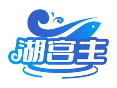 湖宫主