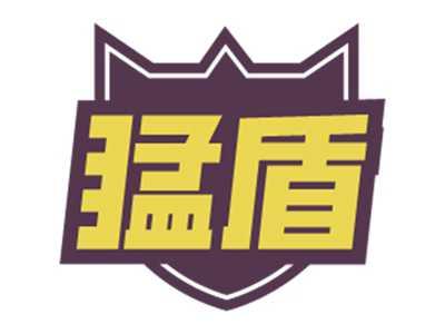 猛盾