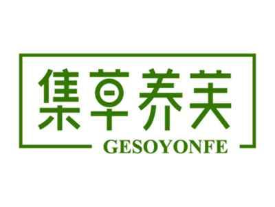 集草养芙GESOYONFE