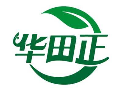 华田正