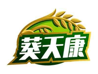 面约荟