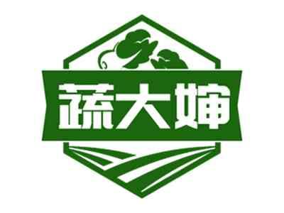 蔬大婶