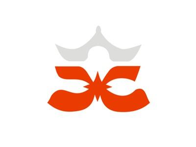 纯图形