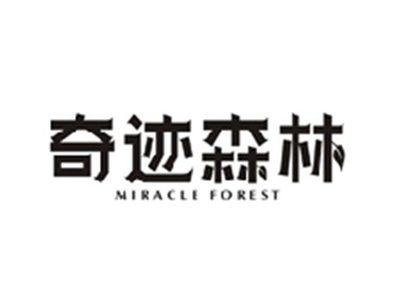 奇迹森林MIRACLE FOREST