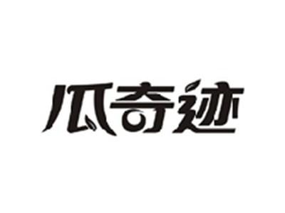 瓜奇迹
