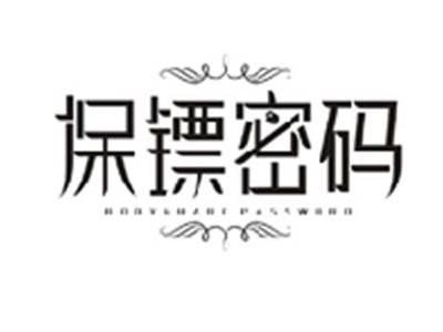 保镖密码BODYGUARD PASSWORD