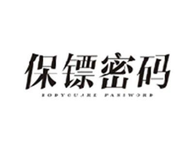 保镖密码BODYGUARD PASSWORD