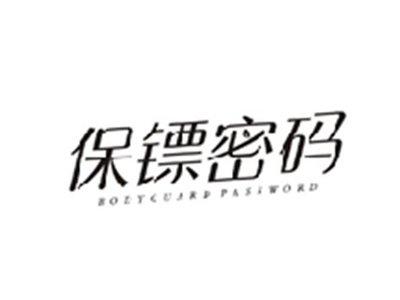 保镖密码BODYGUARD PASSWORD