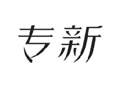 专新