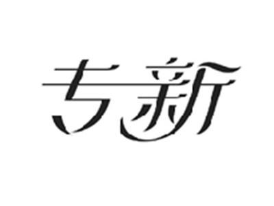 专新