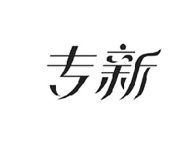 专新