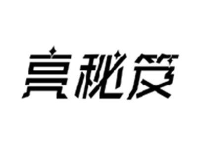 亮秘笈