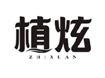 植炫ZHIXUAN