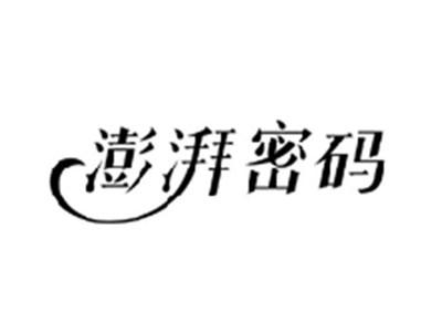 澎湃密码