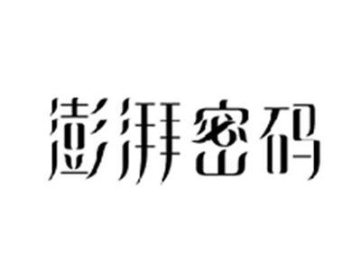 澎湃密码