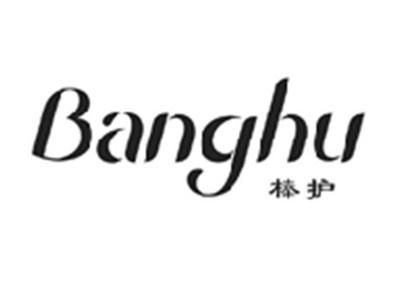 棒护BANGHU