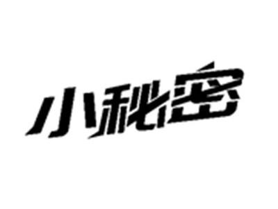 小秘密