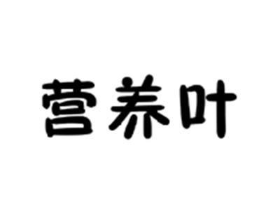 营养叶