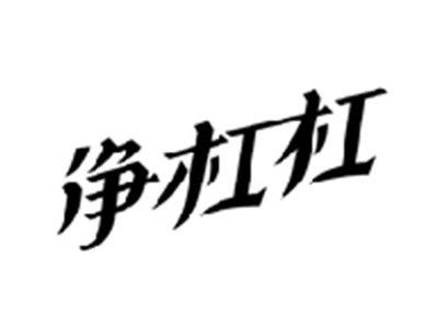净杠杠