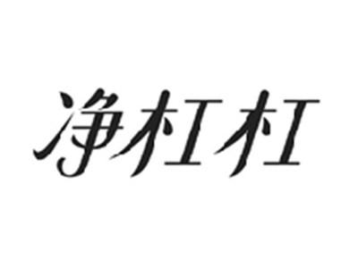 净杠杠