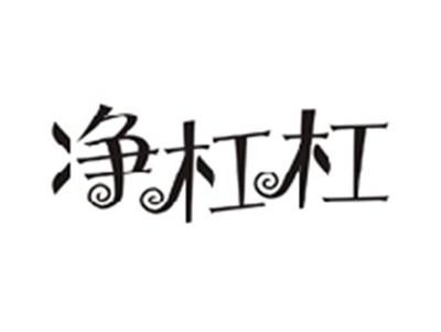 净杠杠