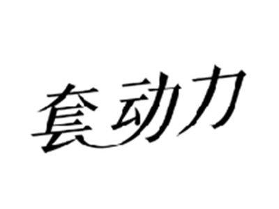 套动力
