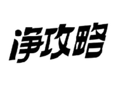 净攻略