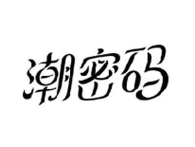潮密码