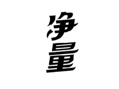 净量