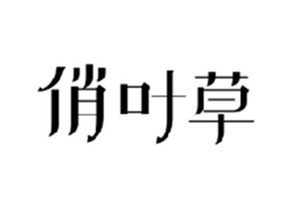 俏叶草