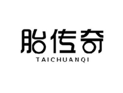 胎传奇TAICHUANQI