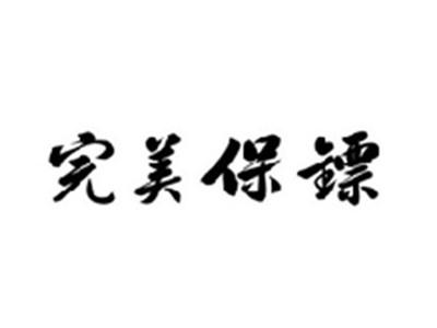 完美保镖